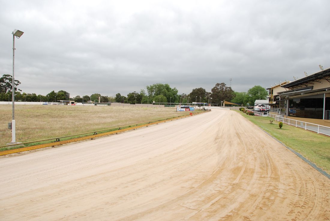 greyhound club sale